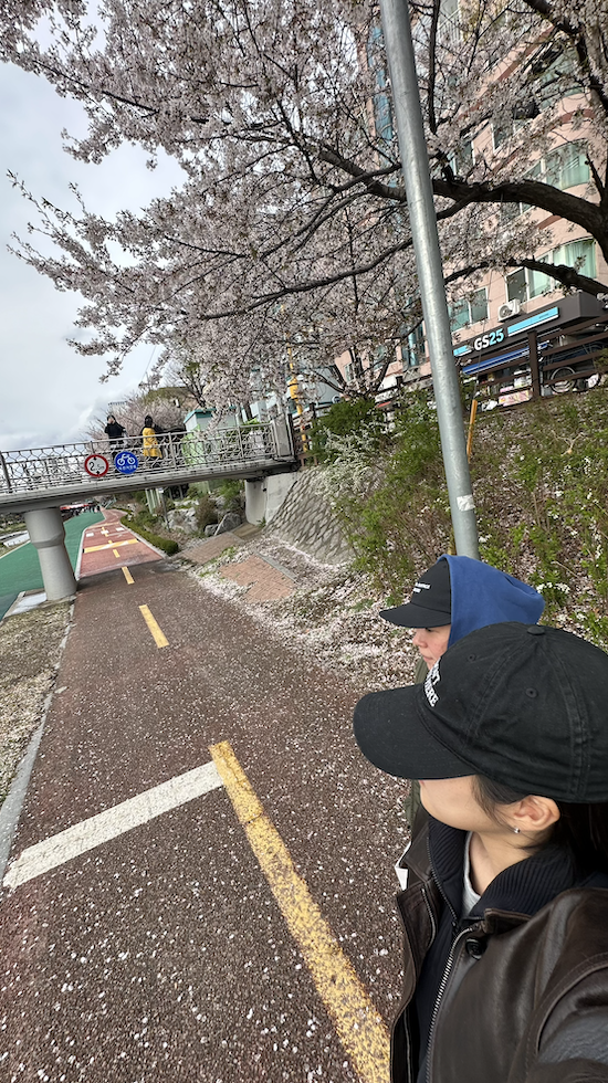 벚꽃 아래 슬아와 지윤